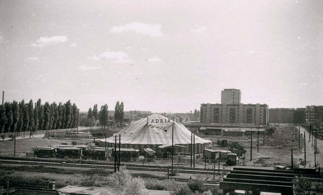 Avenija Marina Držića, cirkus Adria 1959. godine (na mjestu današnjeg autobusnog kolodvora)
